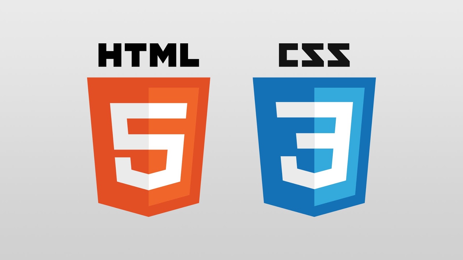 Belajar HTML & CSS untuk Pemula